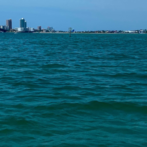 Meet your Posher, Jadyn - Picture 1 of 2